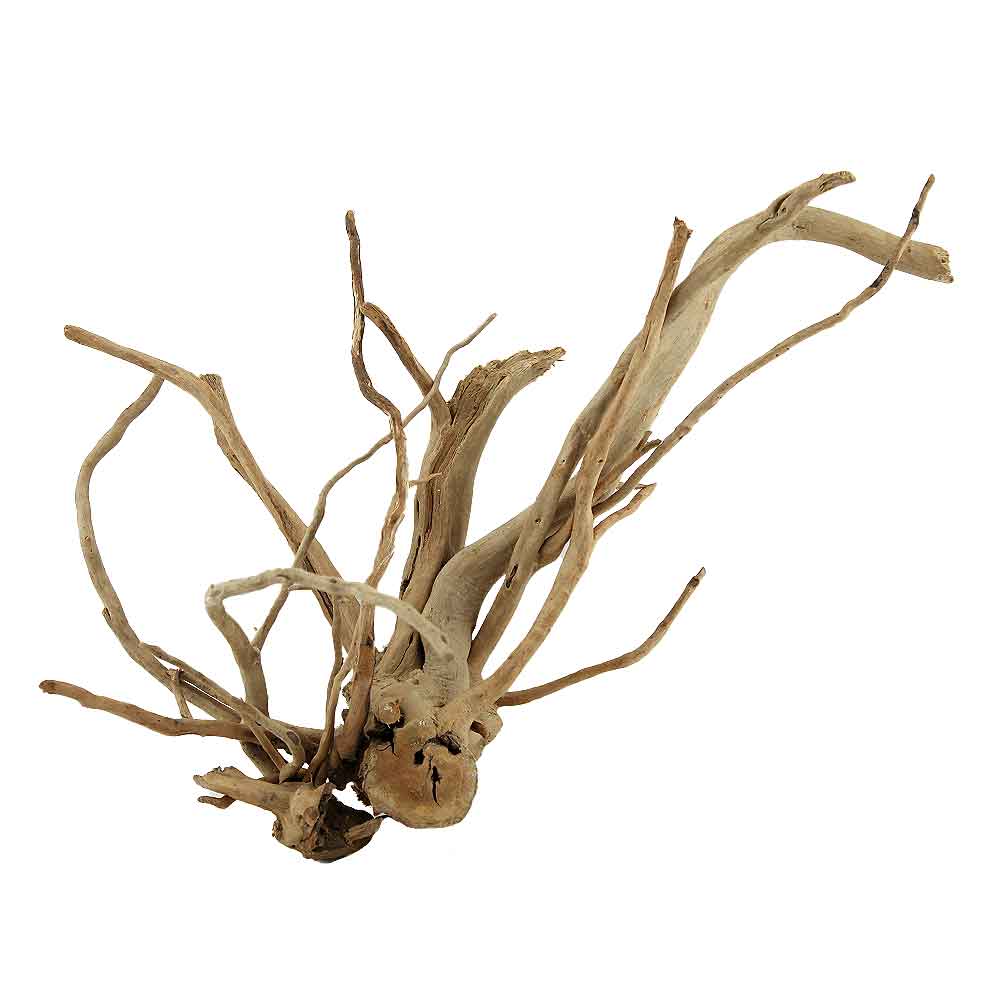 Legno Branch Wood 2125 con foto reale e misure 45x25x33h cm