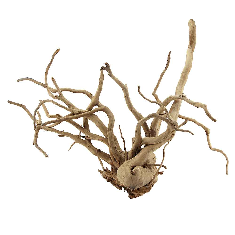 Legno Branch Wood 2126 con foto reale e misure 69x25x55h cm