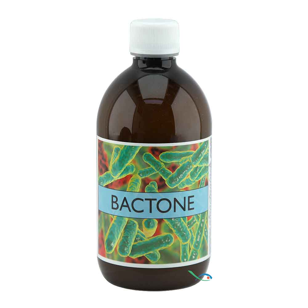 Planctontech Bactone Batteri Anaerobi e aerobi Powerbooster DSB 500ml per 5.000Litri