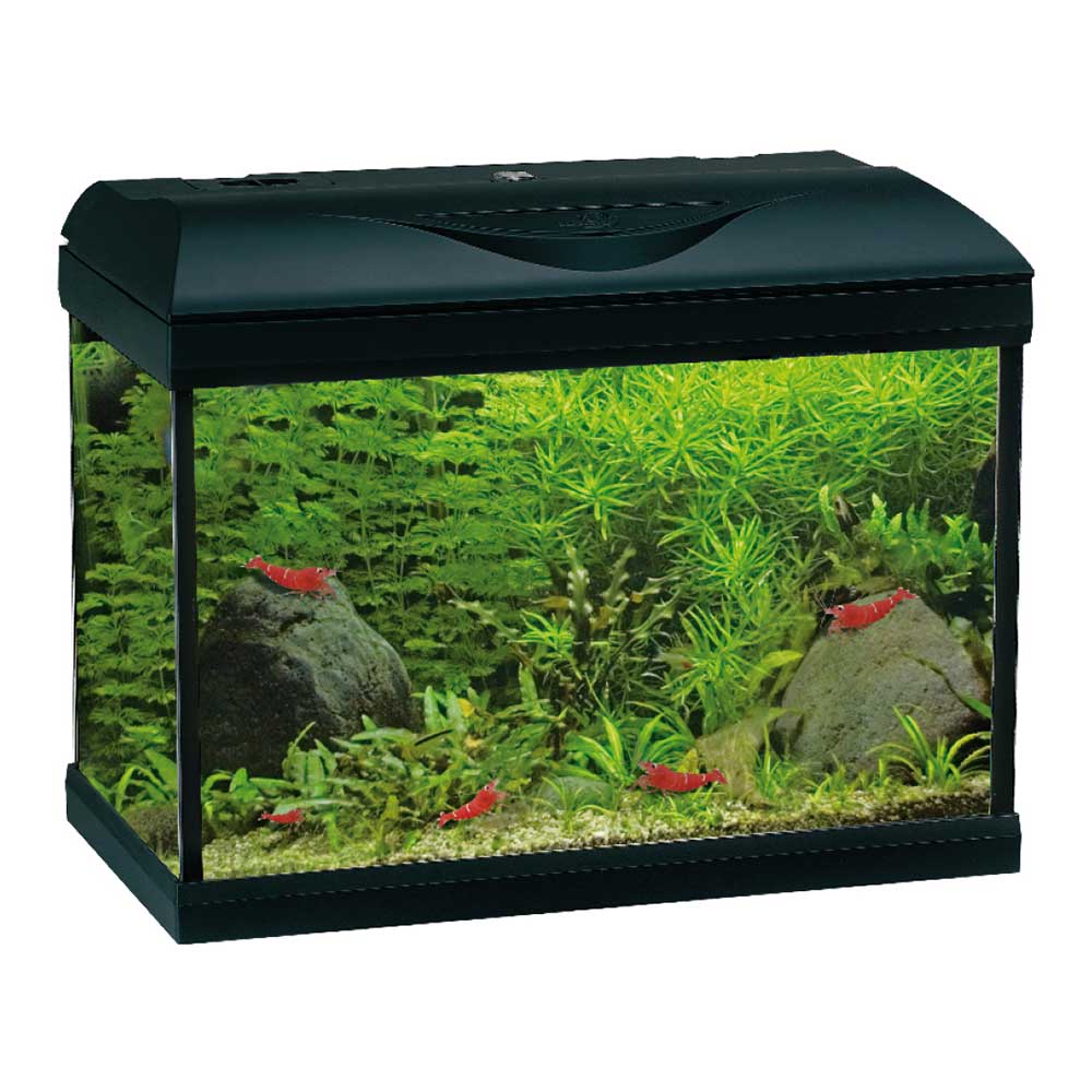 Amtra Basic 40 Acquario Led Nero 25lt 42,5x23,5x33h cm