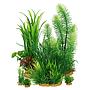 Zolux PlantKit Idro 3 Assortimento 7 piantine in plastica