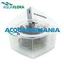 Aquaflora Echinodorus"Little Mystery" in Vitro Cup (copia)