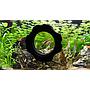 Coral Box Magnet Cleaner Explorer per vasche con vetri fino a 5-10mm