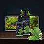 Dennerle Plant Sytem V30 Fertilizzante completo piante grandi 250ml