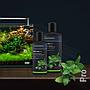 Dennerle Plant Care Pro Fertilizzante Settimanale per piante esigenti 500ml