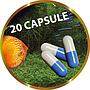 Shg Ri Aktive Super attivatore e tutore batterico 20 capsule
