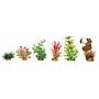 Zolux PlantKit Large 1 Assortimento 7 piantine in plastica