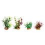 Zolux PlantKit Mini 4 Assortimento 4 piantine in plastica