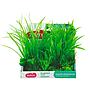 Zolux PlantKit Medium 1 Assortimento 6 piantine in plastica