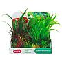 Zolux PlantKit Medium 3 Assortimento 6 piantine in plastica