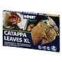 Hobby Catappa Leaves XL Foglie di mandorlo indiano 12pz