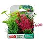 Zolux PlantKit Mini 4 Assortimento 6 piantine in plastica