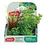 Zolux PlantKit Mini 2 Assortimento 4 piantine in plastica
