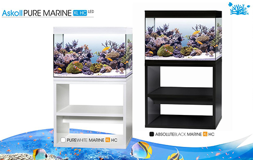 Askoll Acquario Pure Marine XL HC Nero con Sale OMAGGIO 76x36x57h cm 130Lt