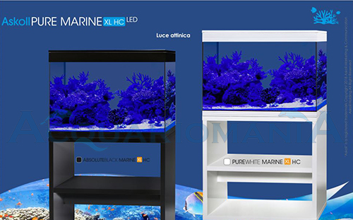 Askoll Acquario Pure Marine XL HC Bianco con Sale OMAGGIO 76x36x57h cm 130Lt