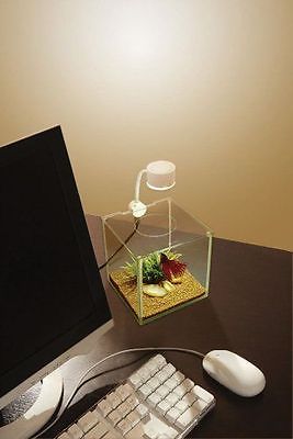 Askoll Marina Cubus Betta Kit Acquario con illuminazione a Led 3.4 litri