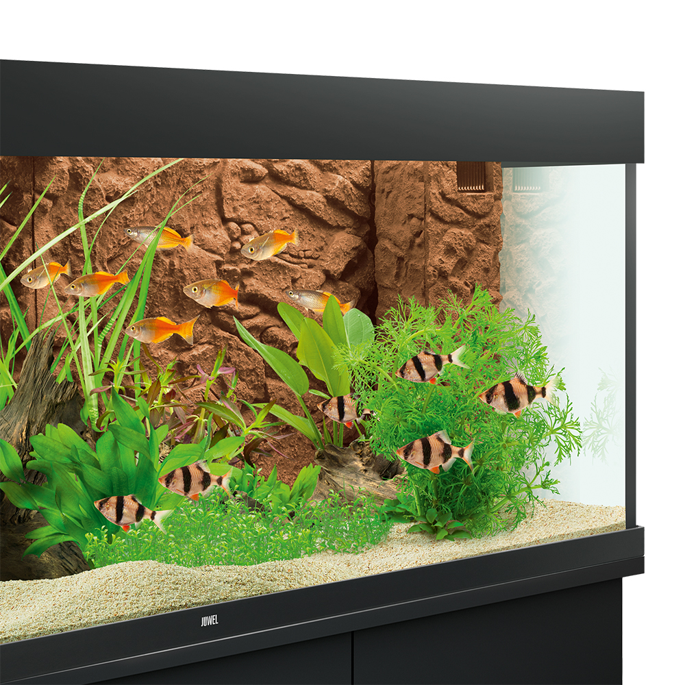 Juwel Sfondo interno 3D Stone Clay 60x55 cm