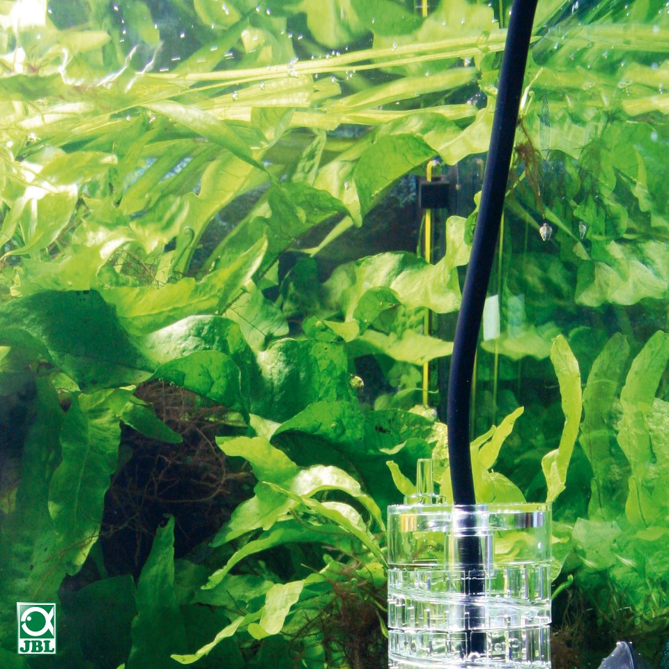 Jbl ProFlora T3 Tubo CO2 Nero 4/6 mm alta qualità 3 metri