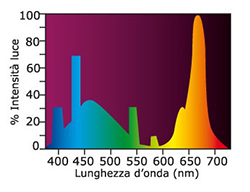 Askoll Lampada a neon Aqua Glo T8 15W 438mm