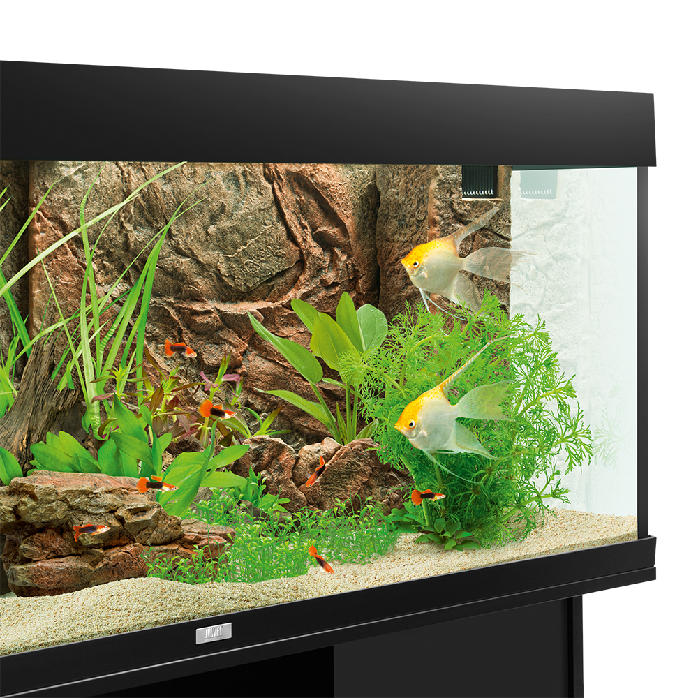 Juwel Sfondo interno 3D Cliff Dark 60x55 cm