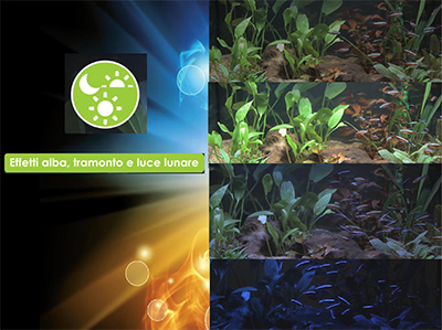 Askoll Acquario Pure LED XL Absolute Black 76x36x43,5h cm 94Lt
