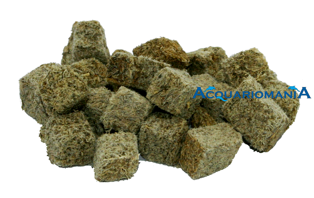 AQ Aquaristica Tubifex FD Energy Plus 600 ml 56 g