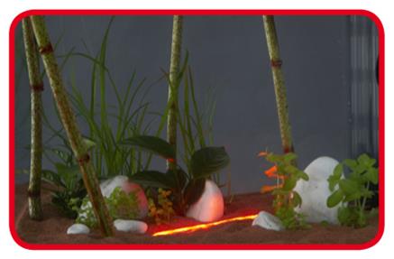 Askoll Stick Light Led Rosso Sommergibile 1.5W 26cm