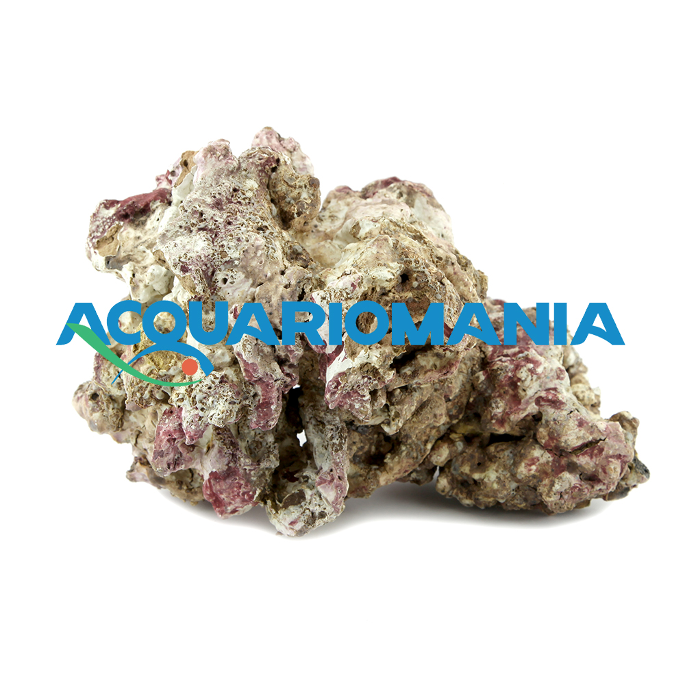 Roccia Light Sea Rocks sintetica ultraleggera per acquari marini prezzo al Kg