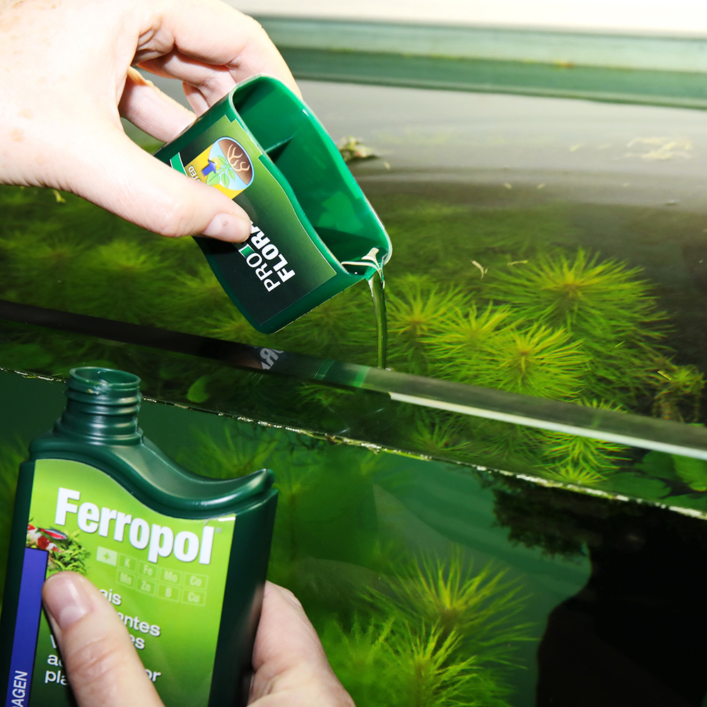 Jbl Pro Flora Ferropol Fertilizzante Base completo 500ml per 2000 litri