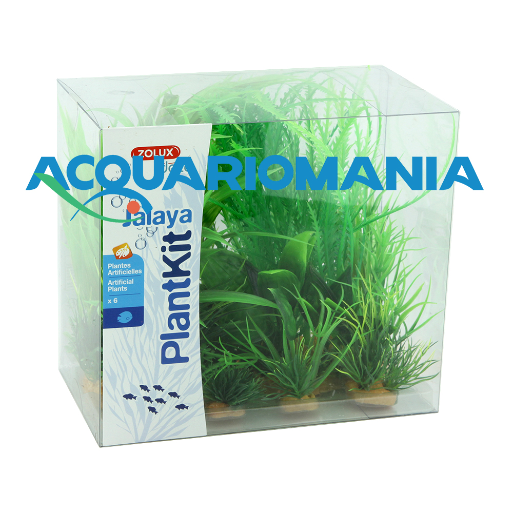 Zolux PlantKit Jalaya 1 Assortimento 6 piantine in plastica