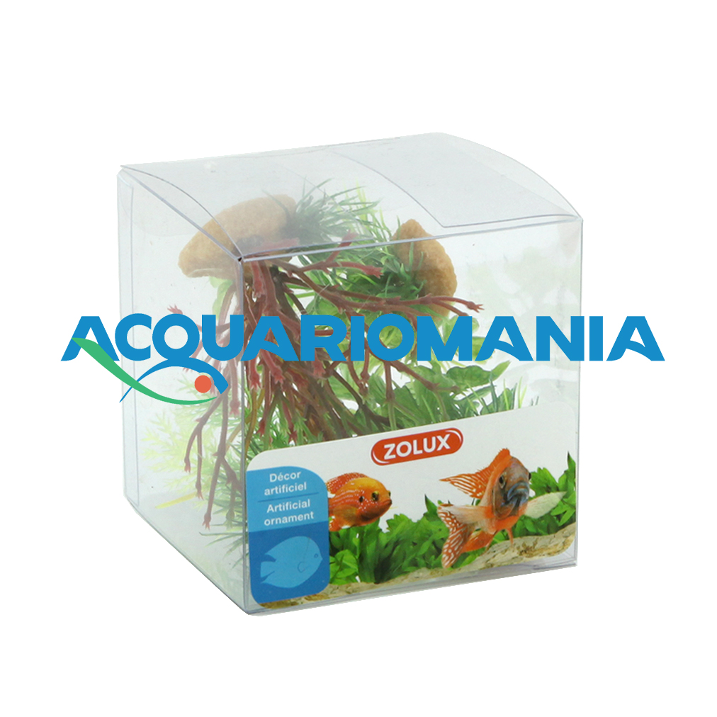 Zolux PlantKit Mix 4 Modello 2 Assortimento piantine in plastica