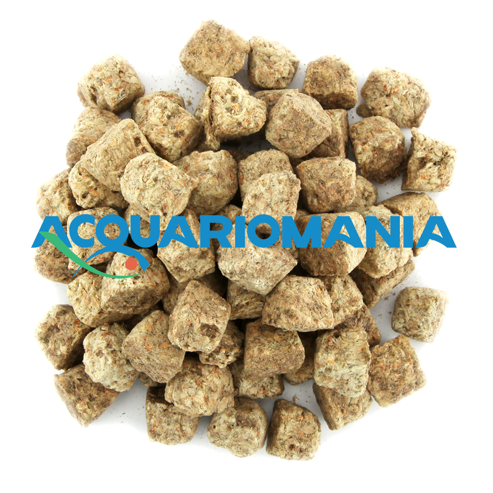 Shg Artemia Liofilizzata10g