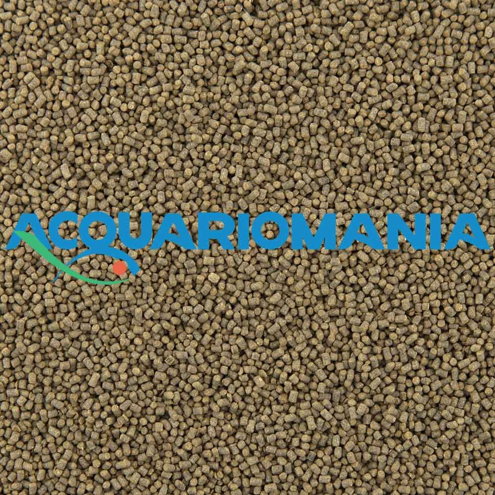 New Life Spectrum Marine affondante 1mm 250g