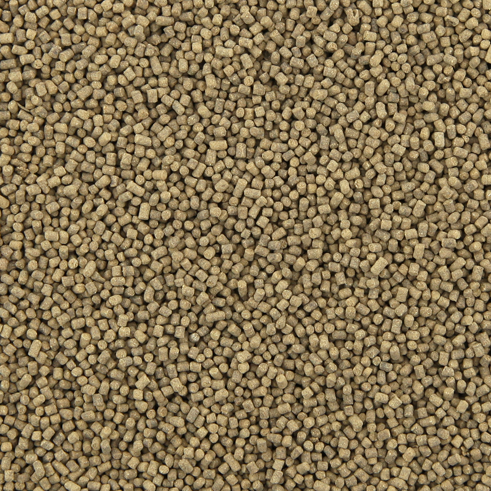 New Life Spectrum Discus affondante 1mm 250g
