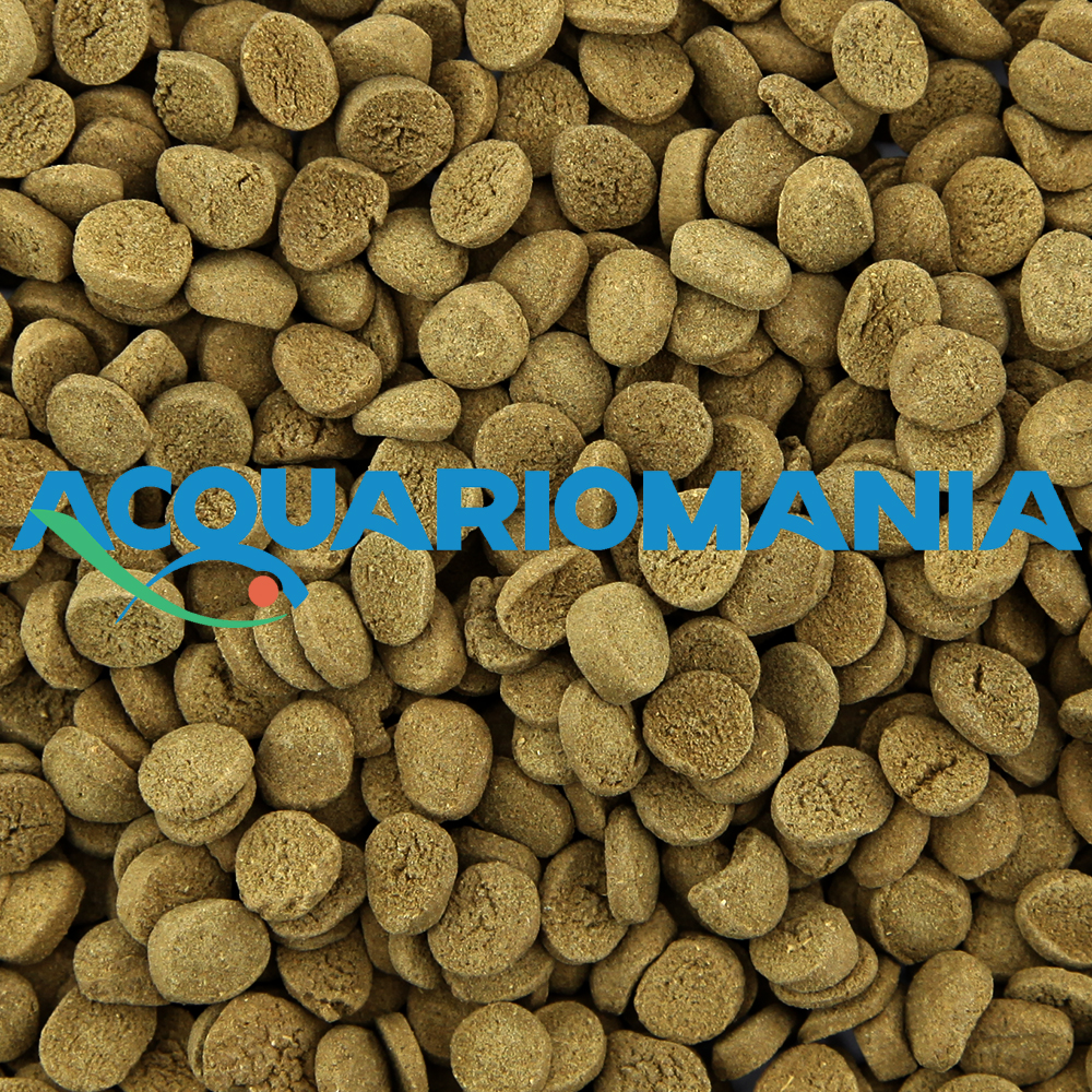 New Life Spectrum Algae Max Mini Wafers affondante per pesci erbivori dolce e marino 7,5mm 125g