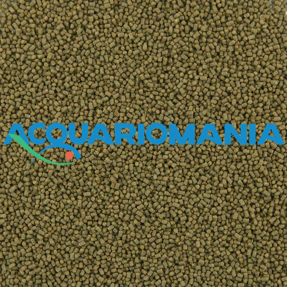 New Life Spectrum Algae Max Medium Fish affondante per pesci erbivori dolce e marino 2mm 125g