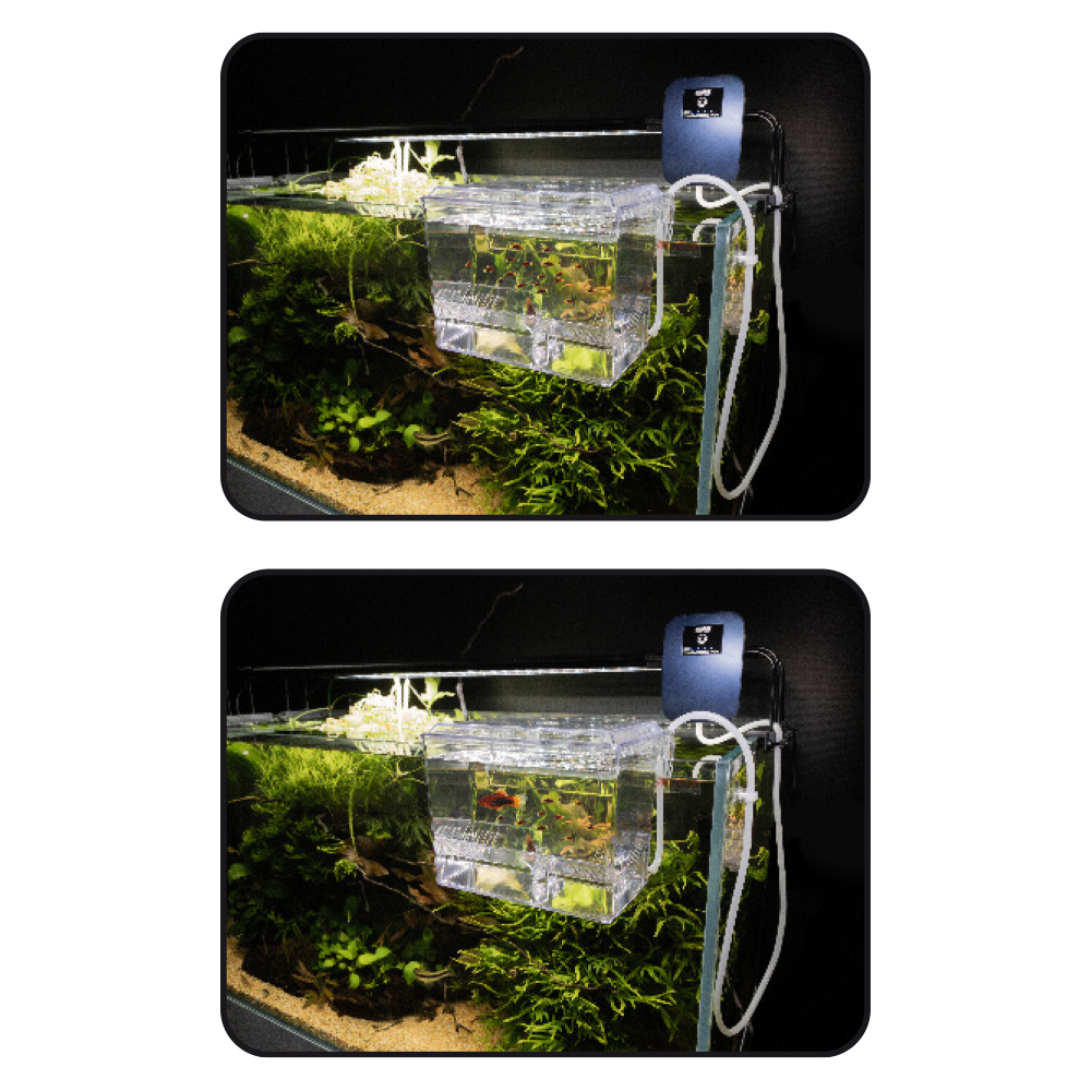 Amtra Sala parto esterna con ricircolo acqua 1.5 Litri