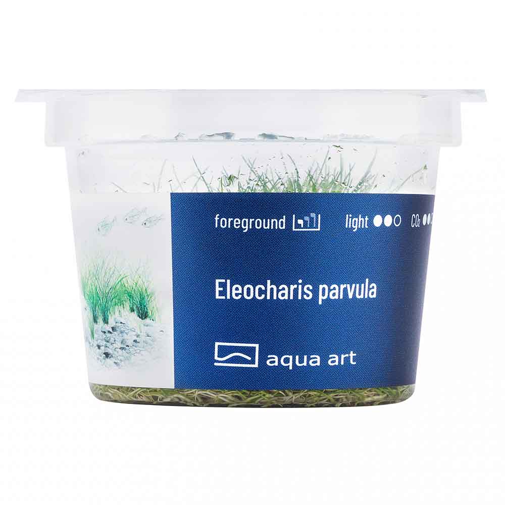 Aqua Art Eleocharis parvula in Vitro Cup
