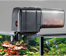 Eheim Mangiatoia automatica per acquario
