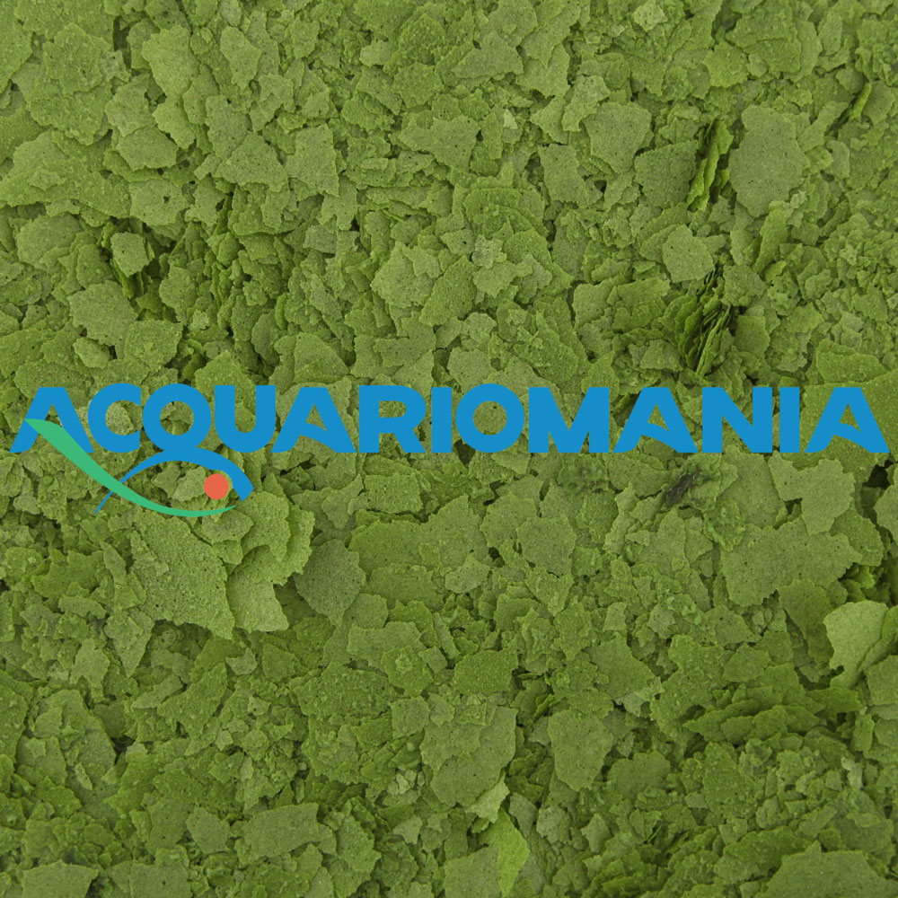 Shg Spirulina in Fiocchi 150g