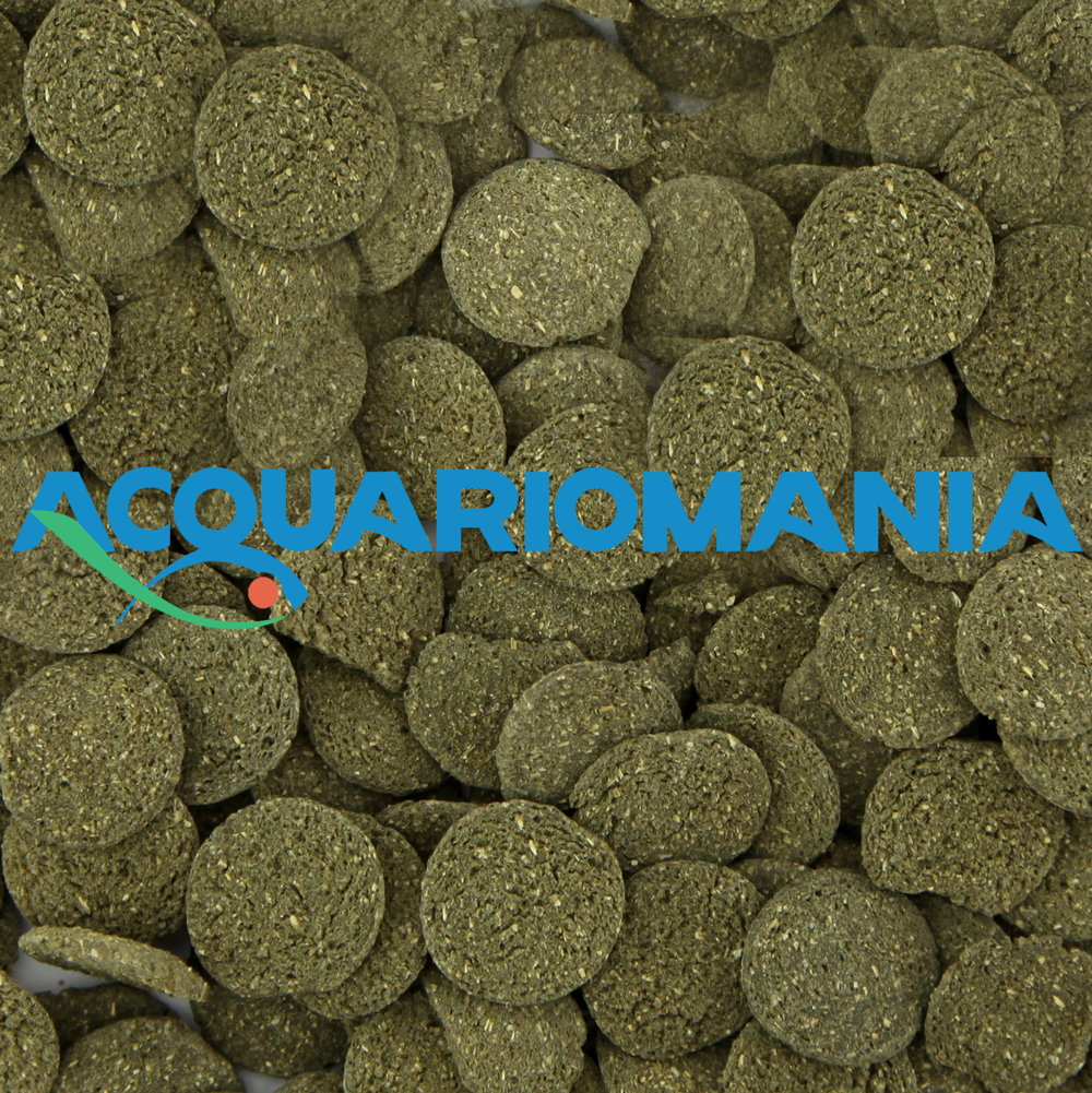 Prodac Algae Wafers Pesci di fondo vegetariani 1200ml 550g