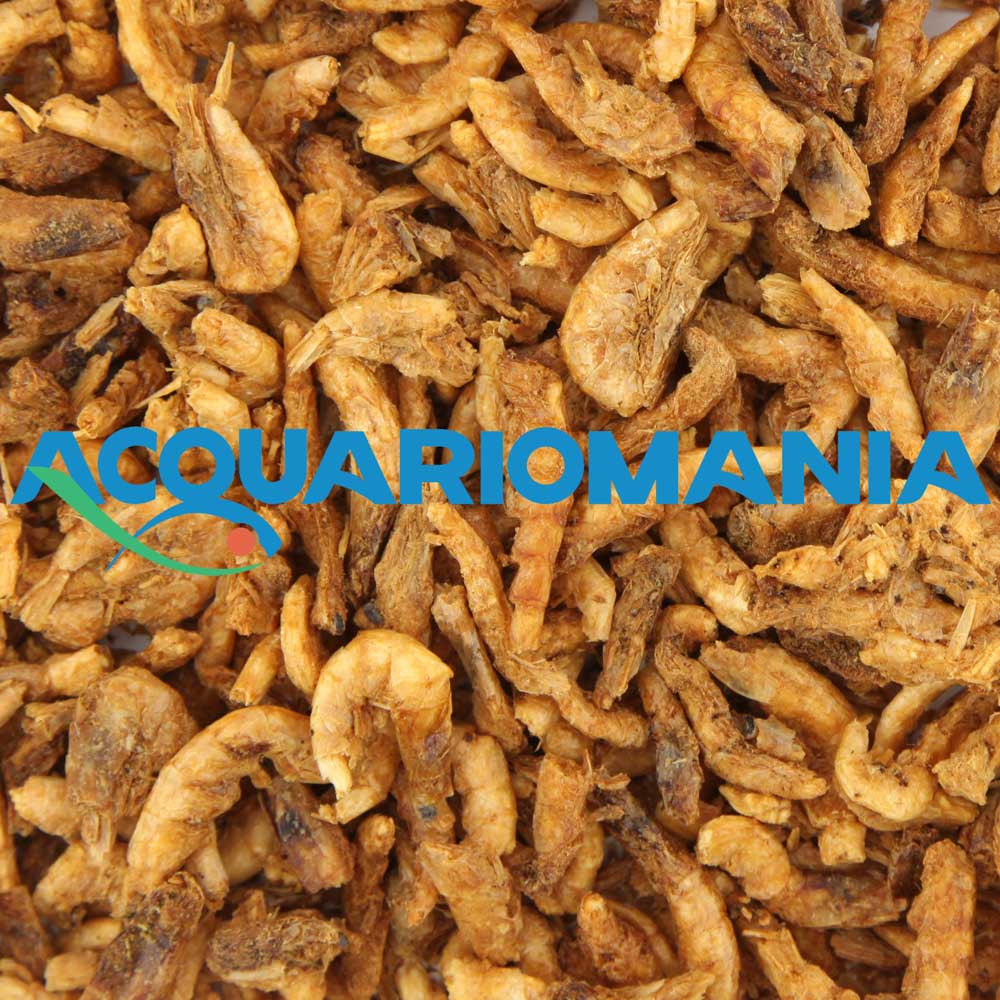 Shg Krill 100g