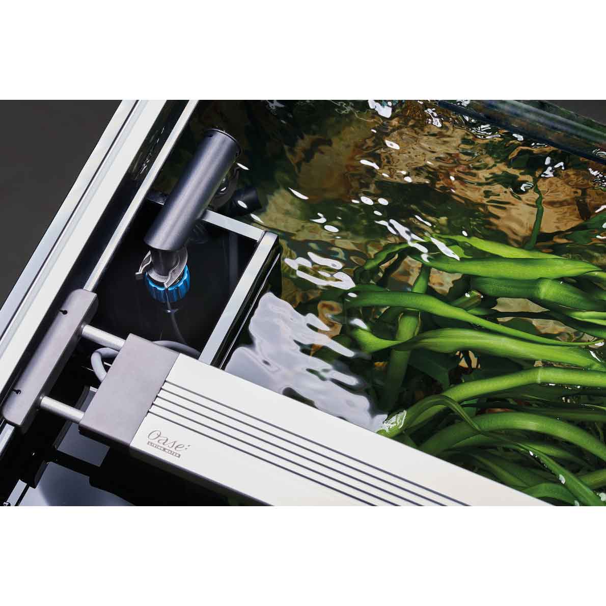 Oase HighLine Room Divider Acquario con Supporto Quercia 302 litri