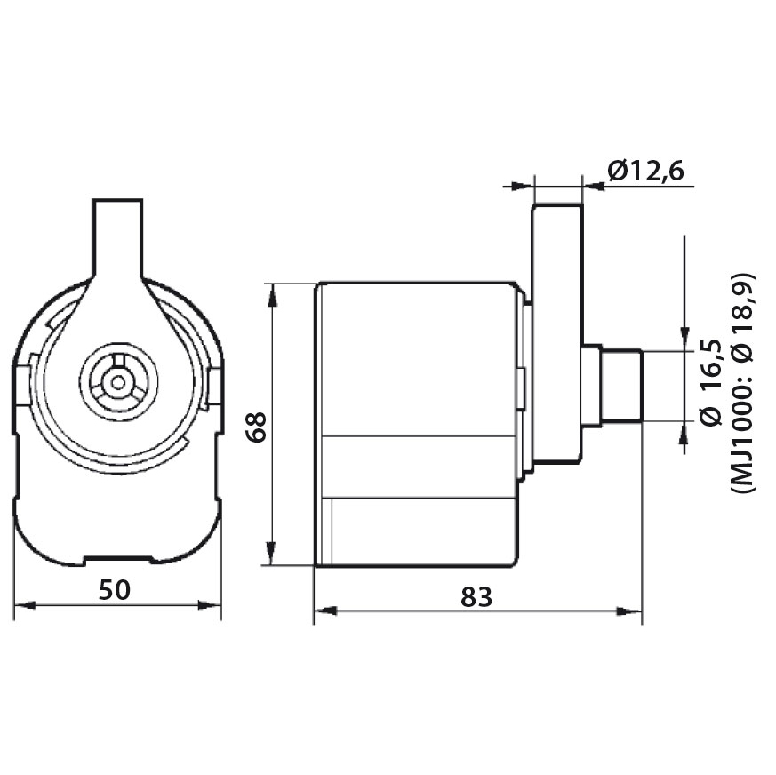 Newa Maxi 1000 Pompa 1000 l/h