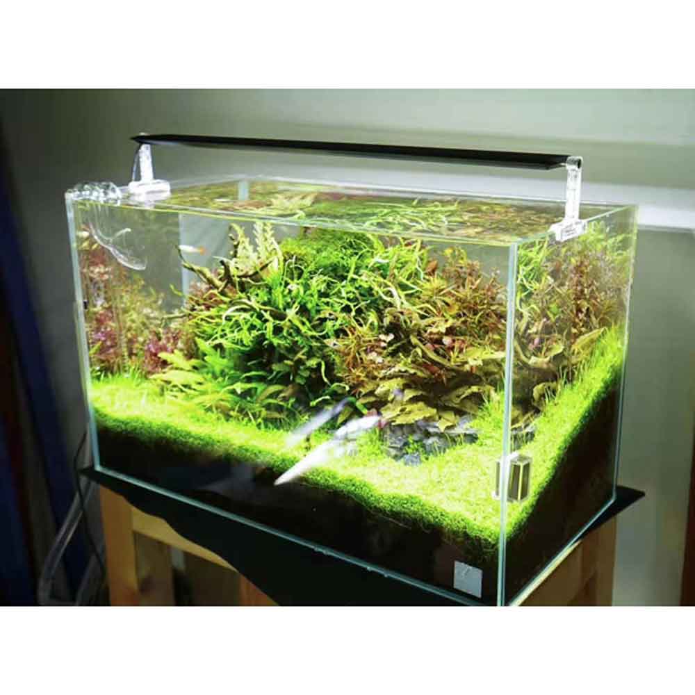 Chihiros Lampada a Led AII451 14W 30cm