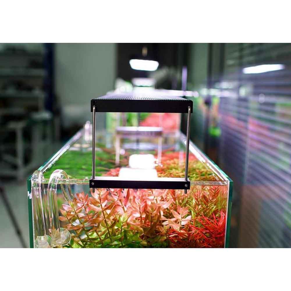 Chihiros WRGB 60 II Pro Plafoniera Led per Acqua dolce Nero 74W da 60 a 80cm