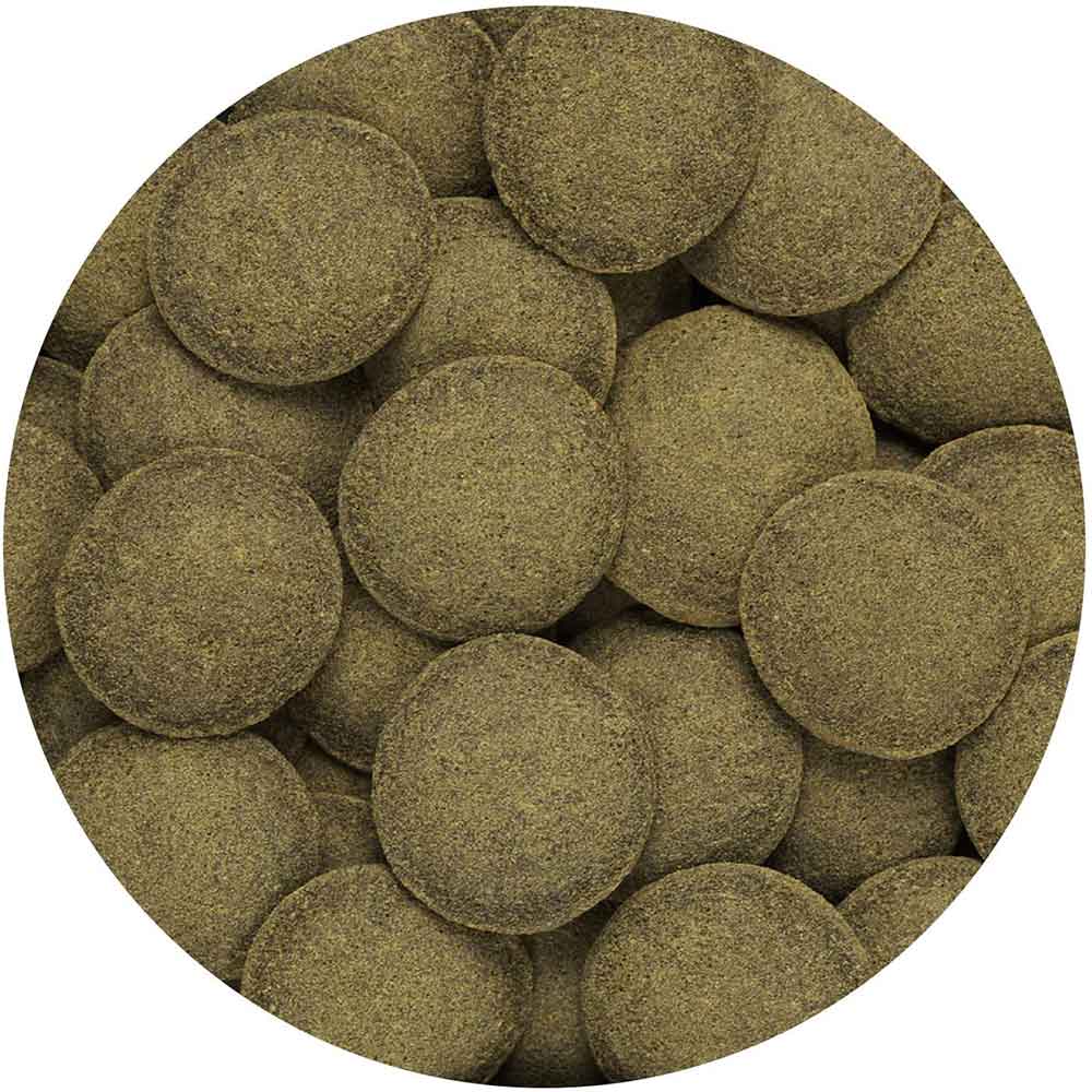 Hikari Algae Wafers per Pulitori e altri pesci vegetariani 40g