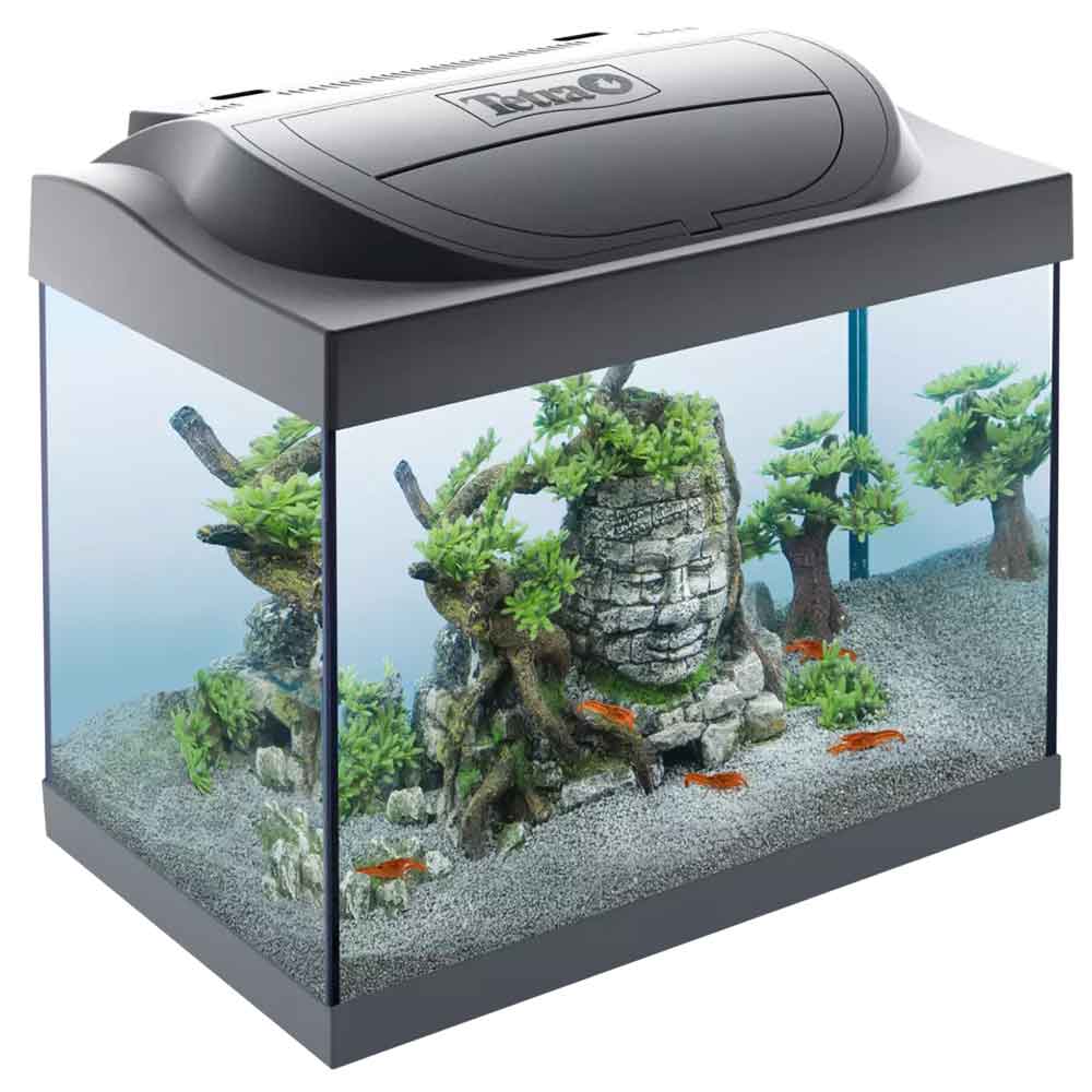 Tetra Acquario Starter Line Led 6W Completo 41x30x25cm 30litri New 2022 Con Luce Notturna