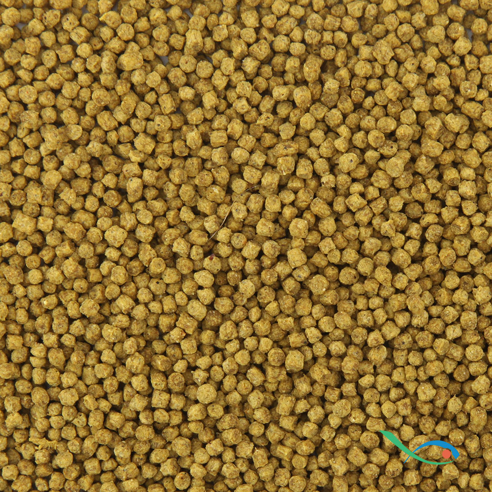 Shg Pesci Rossi Granulato con Germe di Grano 45gr