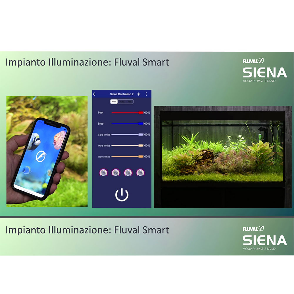 Askoll Fluval Siena 330 Combo Acquario con Supporto Graphite 110x55x55h cm